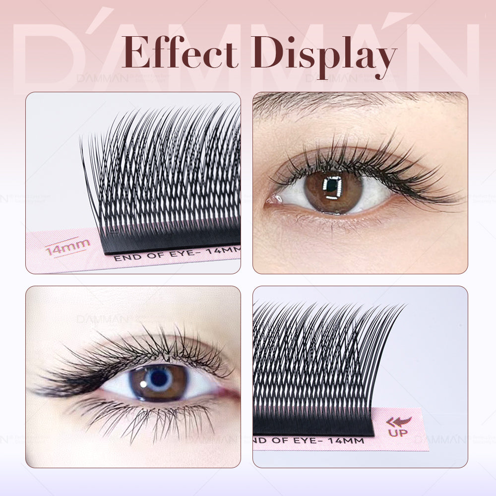 DAMMAN 0.07 D Curl FOX YY Eyelash Extension