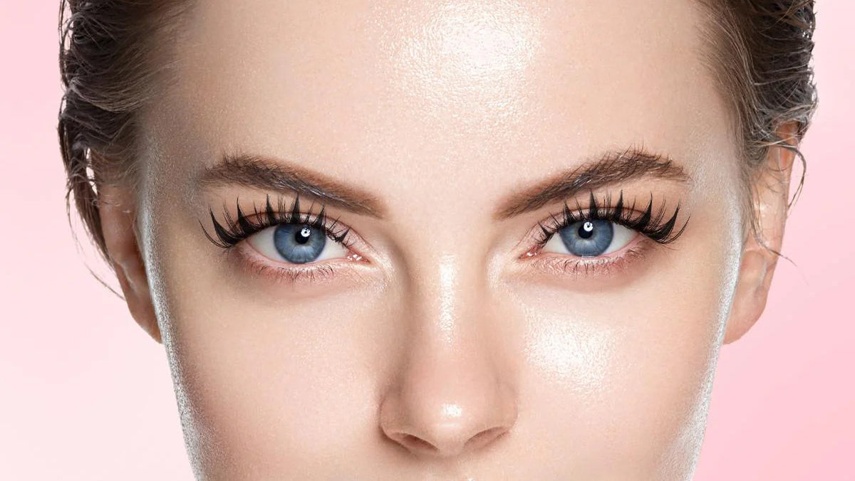 dammanlash